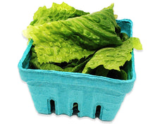 Pint Size Berry Baskets. Biodegradable, Recycled Eco Friendly Fruit Containers, Party Supplies - ShipNFun