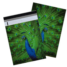 10x13" Peacock and Parrots Combo Pack, Quality Bird Designer Mailer Shipping Bag - ShipNFun